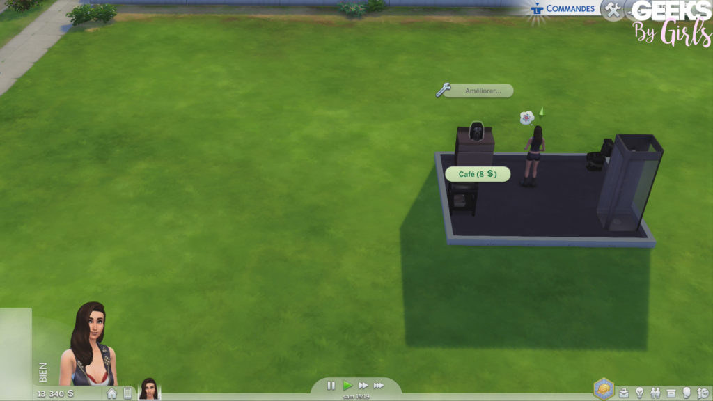 Les Sims 4 - Guide
