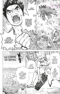 Dr. Stone - Tome 2