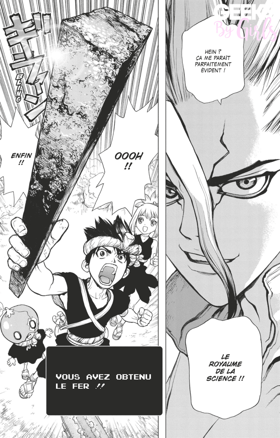 Dr Stone Combien De Tome