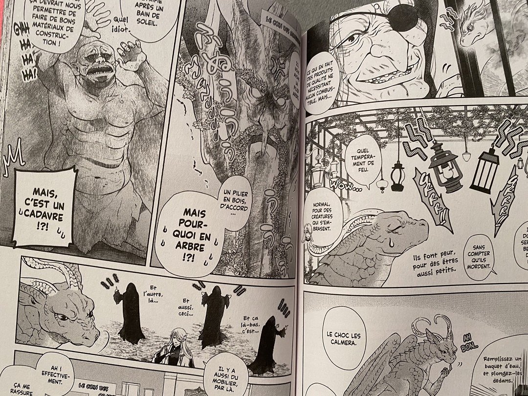 Jeune dragon recherche appartement ou donjon - Tome 1 - GeeksByGirls