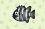 Animal Crossing : Les poissons rares