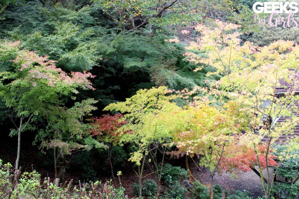La forêt qui entoure le mont Misen à Miyajima - Voyage au Japon 