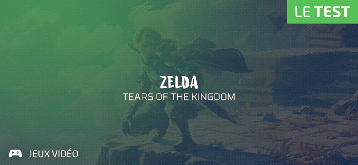 "The Legend of Zelda : Tears of the Kingdom" Vignette