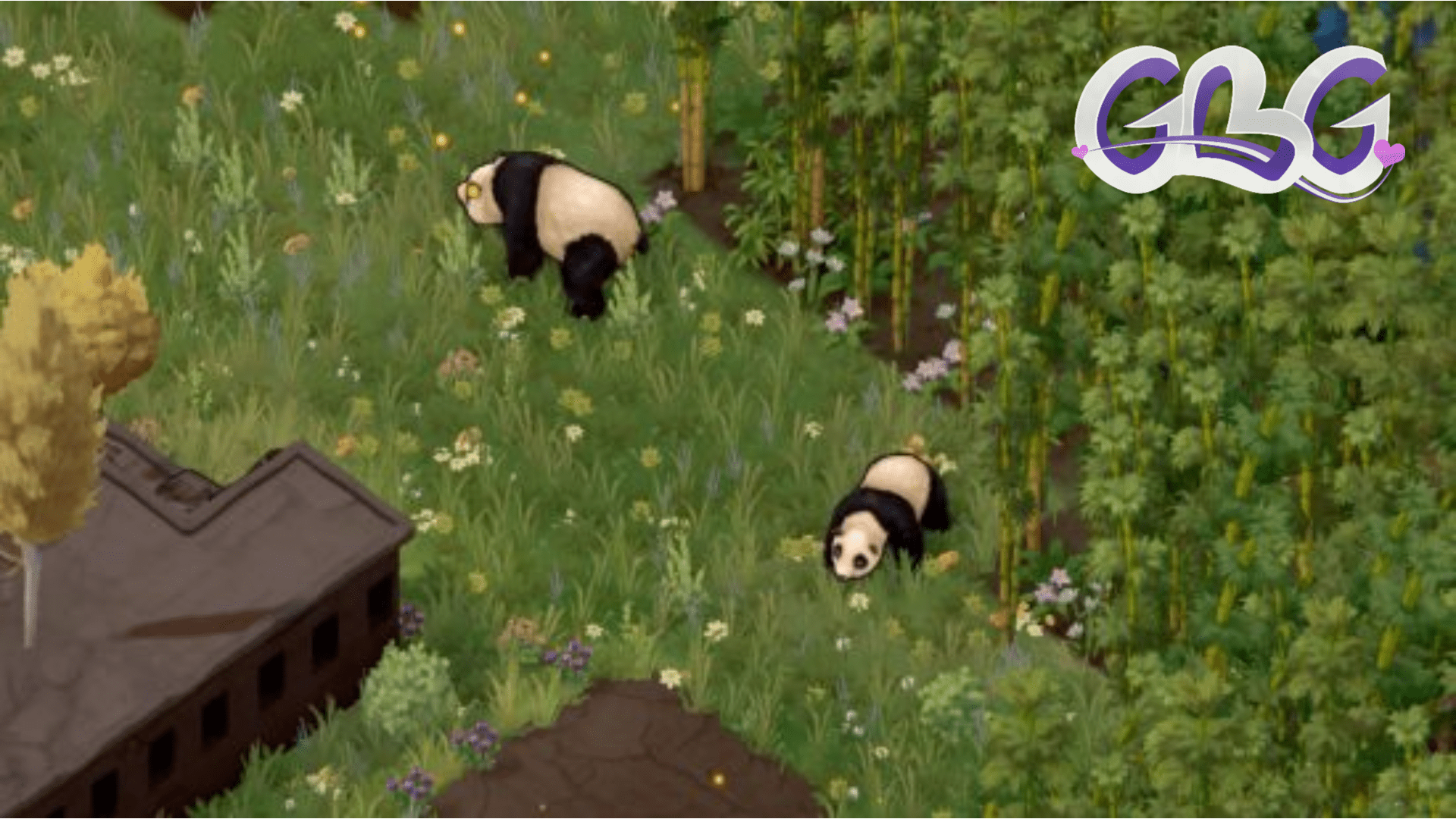 Et oui, il y a des pandas dans "Terra Nil"